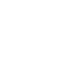 Adjustable Intensity for Every Level